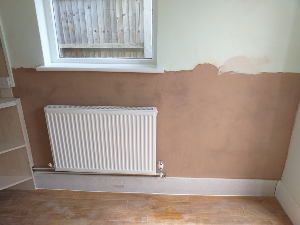 Damp plastering after remedial work Kingston KT2