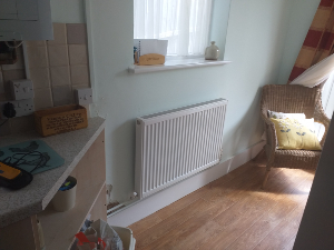 Damp damaged plaster before treatment Kingston KT2