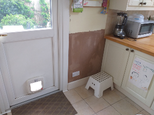 Damp plastering completed in Purley London