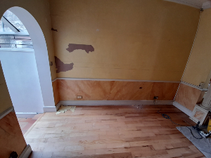 Damp damaged plaster before treatment in Reigate
