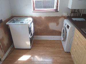 Rising damp remedial work Sutton SM1