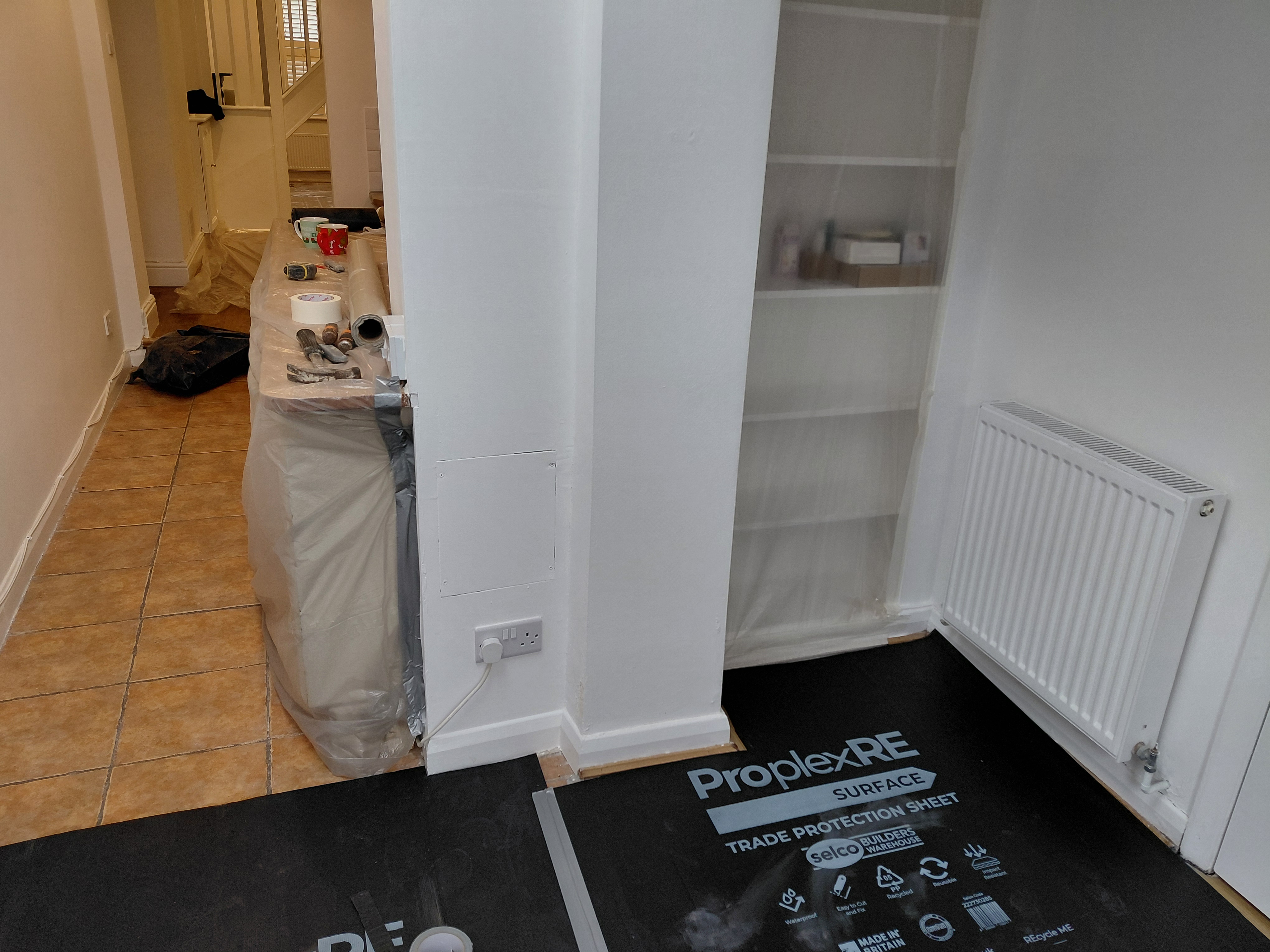 Low-level damp and damaged plaster in Carshalton property