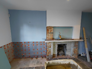 Damp walls fitted with Newton Damp Mesh