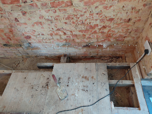 DDry rot Wimbledon SW19 London