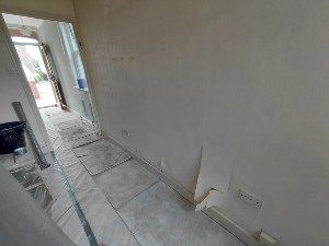 2. Damp proofing project stage for the Reigate service guide