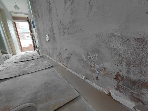 3. Damp proofing project stage for the Reigate service guide