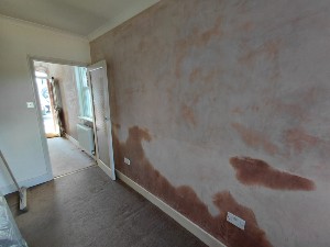 11. Damp proofing project stage for the Reigate service guide