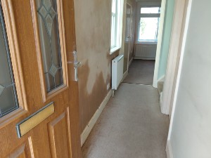 12. Damp proofing project stage for the Reigate service guide