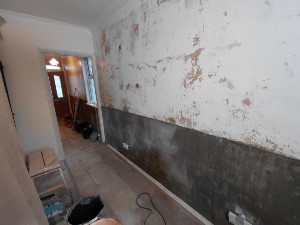 8. Damp proofing project stage for the Reigate service guide