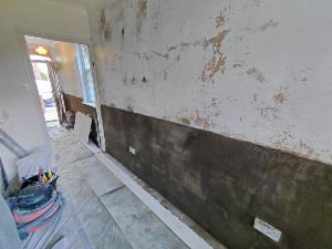 9. Damp proofing project stage for the Reigate service guide